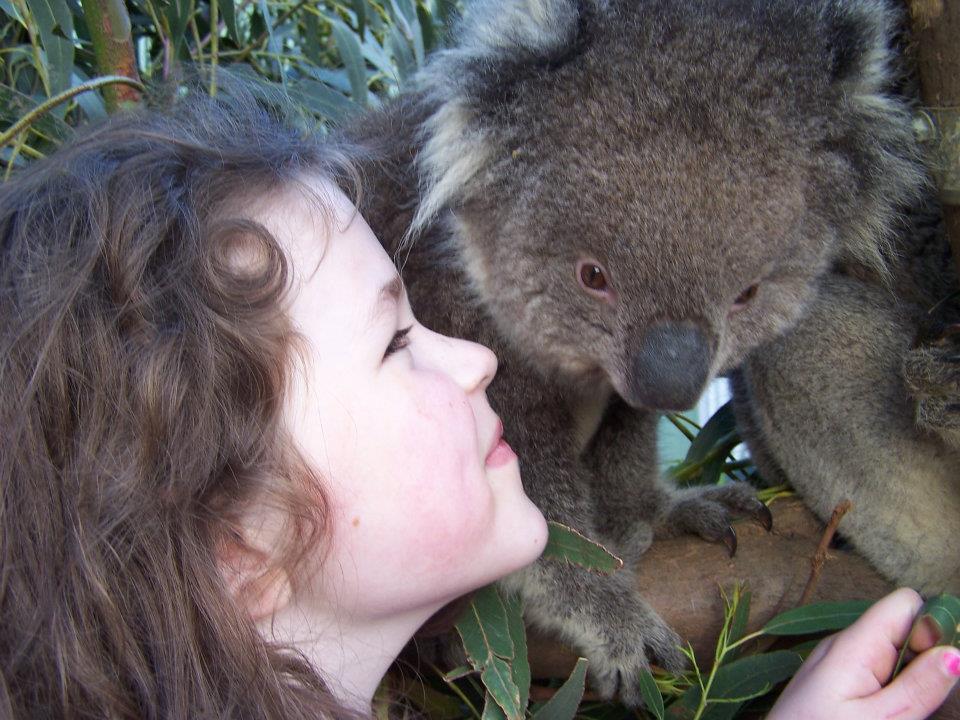 Fauna Australia Wildlife Retreat Lavers Hill المظهر الخارجي الصورة