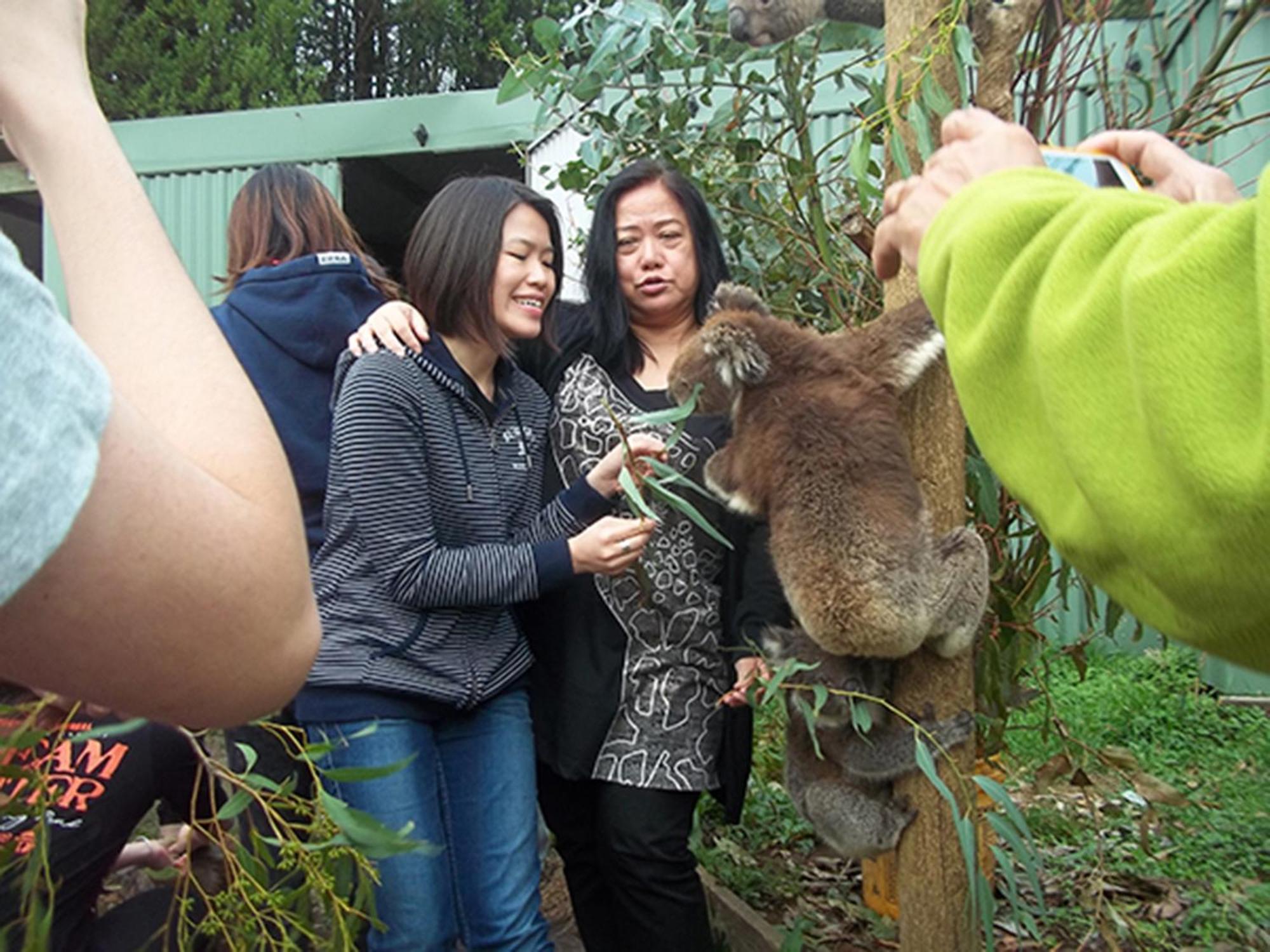 Fauna Australia Wildlife Retreat Lavers Hill المظهر الخارجي الصورة
