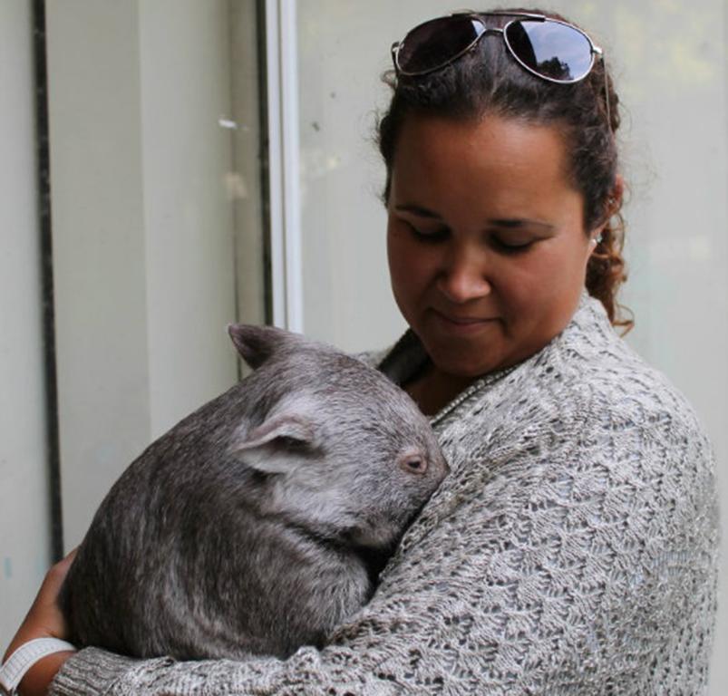 Fauna Australia Wildlife Retreat Lavers Hill المظهر الخارجي الصورة