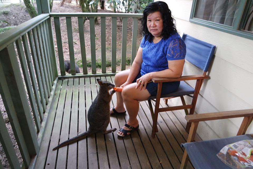 Fauna Australia Wildlife Retreat Lavers Hill المظهر الخارجي الصورة