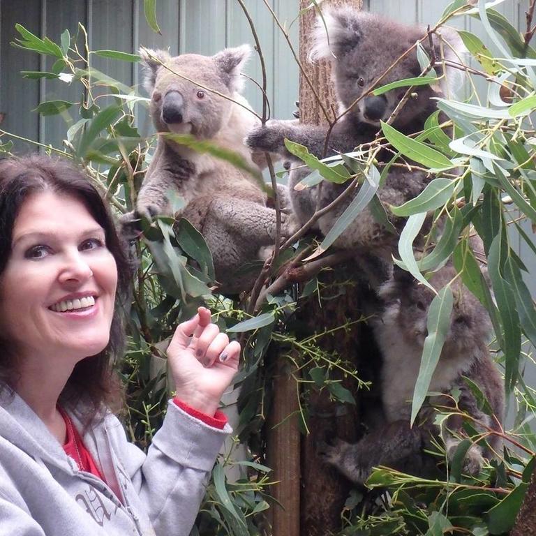 Fauna Australia Wildlife Retreat Lavers Hill المظهر الخارجي الصورة