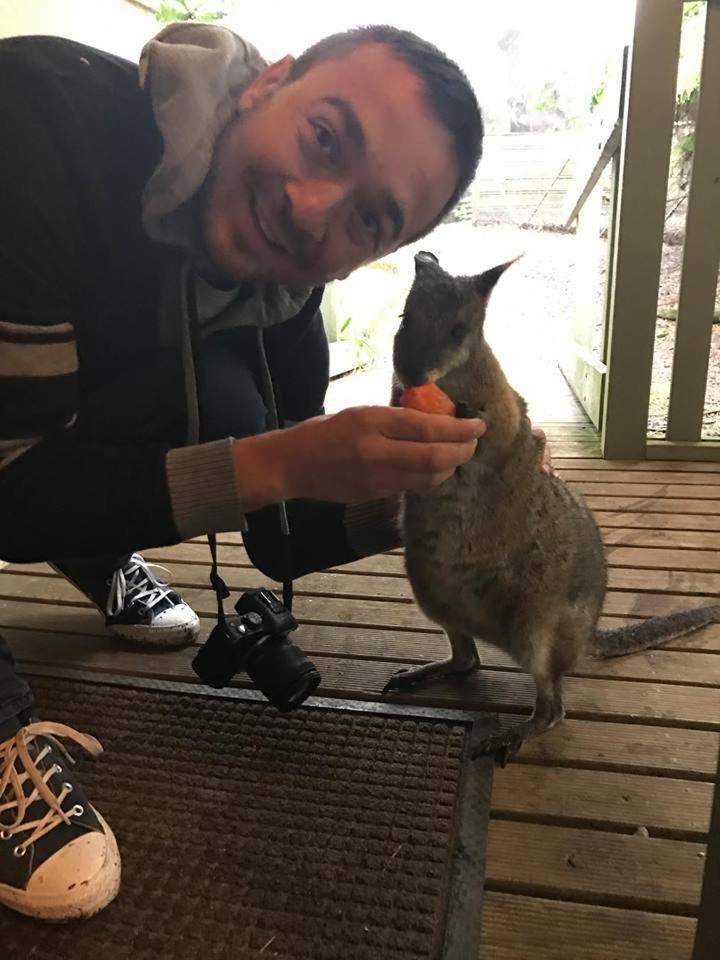 Fauna Australia Wildlife Retreat Lavers Hill المظهر الخارجي الصورة