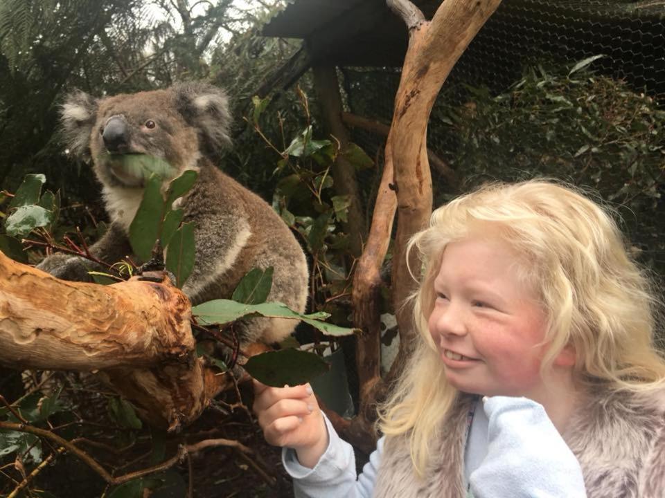 Fauna Australia Wildlife Retreat Lavers Hill المظهر الخارجي الصورة